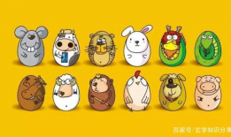 娱乐吃瓜酱十二生肖,娱乐吃瓜酱带你揭秘生肖背后的娱乐秘密